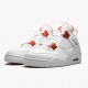 Donna/Uomo Air Jordan 4 Retro Metallic Orange CT8527-118 Scarpe Da Ginnastica